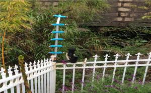 防盜報(bào)警系統(tǒng)有哪些種類(lèi)？