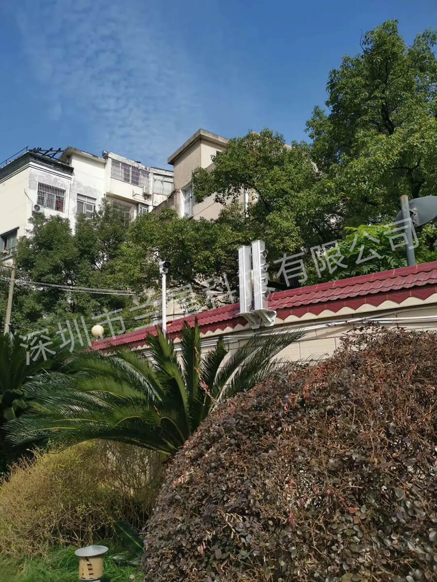 1740455601338539.jpg 18939600.jpg